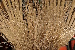 篆刻の初心者及び趣味の人にお勧めの書道用品サイト