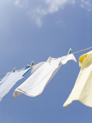 ハピネスネットを活用して収入アップ